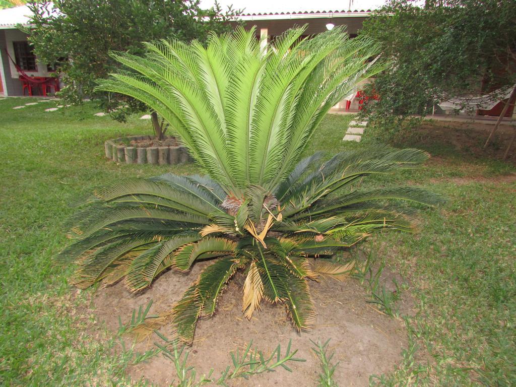 Pousada Ipitanga IV Lauro de Freitas Exterior foto